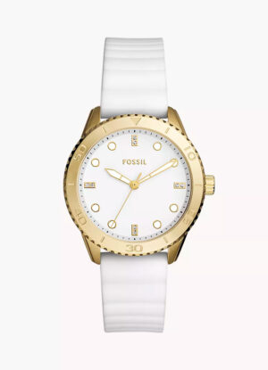 Reloj Fossil Dayle BQ3965